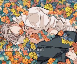 Rule 34 | 1boy, barefoot, black pants, blue flower, closed mouth, commentary request, fetal position, flower, green eyes, grey hair, half-closed eyes, hands on own chest, kankara nashi, latin text, lying, male focus, nasturtium, on side, orange flower, original, pants, short hair, sleeves rolled up, solo, sweater, twitter username, white sweater, yellow flower
