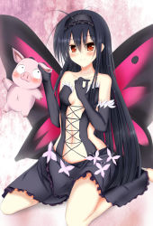 Rule 34 | 10s, accel world, antenna hair, arita haruyuki, bad id, bad pixiv id, bare shoulders, black hair, blush, brown eyes, bug, butterfly, butterfly wings, elbow gloves, gloves, insect, insect wings, kuroyukihime, long hair, navel, pig, smile, tachihaya hiro, wings