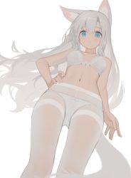 Rule 34 | 1girl, absurdres, animal ear fluff, animal ears, arm at side, bare arms, bare shoulders, blue eyes, blush, bra, breasts, closed mouth, collarbone, crotch seam, from below, gluteal fold, hagi (ame hagi), hand on own hip, highres, lace, lace-trimmed bra, lace trim, looking at viewer, looking down, navel, original, panties, pantyhose, see-through, simple background, small breasts, solo, standing, stomach, thighband pantyhose, underwear, white background, white bra, white panties, white pantyhose