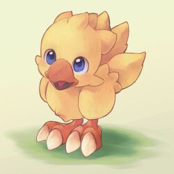 Rule 34 | animal focus, beak, bird, blue eyes, chocobo, feathers, final fantasy, highres, open mouth, solo, standing, tabby (un-limited), talons, white background, yellow feathers