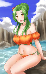 Rule 34 | 1girl, :d, absurdres, bare shoulders, bikini, blue sky, braid, braided bun, breasts, cleavage, cloud, day, elincia ridell crimea, fee (oskna1), feet out of frame, fire emblem, fire emblem: radiant dawn, flower, green hair, hair bun, hair flower, hair ornament, highres, large breasts, long hair, looking at viewer, navel, nintendo, off-shoulder bikini, off shoulder, open mouth, orange bikini, puffy short sleeves, puffy sleeves, red flower, rock, short sleeves, side-tie bikini bottom, sitting, sky, smile, solo, stomach, swimsuit, thighs, water, yellow eyes