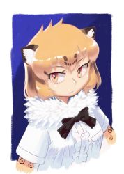Rule 34 | 10s, 1girl, :/, animal ears, antan, arms at sides, black bow, black bowtie, black hair, bow, bowtie, breasts, buttons, closed mouth, dress shirt, eyebrows, eyelashes, facing away, fur collar, hair between eyes, jaguar (kemono friends), jaguar ears, jaguar print, kemono friends, looking away, looking to the side, orange eyes, orange hair, shirt, short hair, short sleeves, small breasts, solo, tsurime, upper body, white shirt