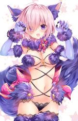 Rule 34 | 1girl, :d, animal ears, blush, breasts, cowboy shot, elbow gloves, fang, fate/grand order, fate (series), fur trim, gloves, hair over one eye, halloween costume, light purple hair, looking at viewer, mash kyrielight, mash kyrielight (dangerous beast), medium breasts, navel, nogi takayoshi, o-ring, o-ring top, official alternate costume, open mouth, paw pose, purple eyes, short hair, smile, solo, stomach, tail, thighhighs, wolf ears, wolf tail