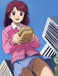 Rule 34 | haruyama kazunori, kurita yuuko, lunchbox, oishinbo, oishinbo (anime), panties, red eyes, red hair, solo, sweater, underwear
