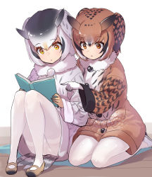 Rule 34 | 2girls, black hair, book, brown coat, brown hair, coat, commentary request, eurasian eagle owl (kemono friends), fur collar, gloves, grey coat, highres, kemono friends, multicolored hair, multiple girls, northern white-faced owl (kemono friends), orange eyes, pantyhose, pointing, reading, seiza, short hair, sitting, tadano magu, white fur, white gloves, white hair, white legwear, winter clothes, winter coat, yellow footwear, yellow gloves
