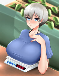 Rule 34 | 1girl, blue eyes, blue shirt, blush, breast rest, breasts, breasts on table, couch, eyelashes, fraankyy, green hair, hand on own chest, highres, large breasts, looking at viewer, nose blush, on couch, plant, pot, shirt, short hair, shy, sitting, solo, t-shirt, table, uzaki-chan wa asobitai!, uzaki hana