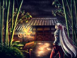 Rule 34 | 1girl, architecture, armband, bamboo, bird, bow, collared shirt, doramon, east asian architecture, from behind, fujiwara no mokou, hair bow, hands in pockets, highres, long hair, looking up, night, pants, phoenix, ponytail, rain, red eyes, red pants, sad, shirt, sign, silver hair, solo, standing in rain, suspenders, suspenders slip, talismans, touhou, translation request, very long hair, white shirt