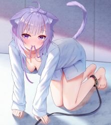Rule 34 | 1girl, absurdres, ahoge, all fours, alternate costume, animal ear fluff, animal ears, areola slip, bare legs, barefoot, blush, breasts, cat ears, cat girl, cat tail, downblouse, full body, hanging breasts, highres, hololive, leash, long sleeves, looking at viewer, medium breasts, mouth hold, naked shirt, nekomata okayu, nekomata okayu (oversized shirt), no bra, purple hair, purple ribbon, ribbon, ribbon in mouth, shirt, sleeves past wrists, smile, solo, tail, togemaru34, virtual youtuber, white shirt