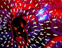 Rule 34 | abstract, abstract background, animal, animal ears, bell, black cat, blue fire, cat, extra tails, fire, flame-tipped tail, glowing, highres, kaenbyou rin, kaenbyou rin (cat), multiple tails, no humans, orange eyes, ribbon, spell card, subterranean animism, sunnysideup, tail, tail ornament, tail ribbon, touhou, two tails