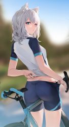 Rule 34 | 1girl, absurdres, animal ear fluff, animal ears, ass, bicycle, blue archive, blue eyes, blue shorts, blurry, blurry background, blush, bright pupils, cycling uniform, day, duplicate, grey hair, highres, leviathan (hikinito0902), looking at viewer, looking back, medium hair, multicolored shirt, outdoors, shiroko (blue archive), shiroko (cycling) (blue archive), shirt, short shorts, short sleeves, shorts, solo, sweatdrop, thighs, white pupils, white shirt, wolf ears