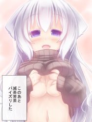 Rule 34 | 1girl, breasts, clothes lift, long hair, nightmare cat, original, purple eyes, solo, sweater, sweater lift, white hair