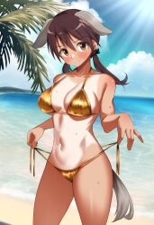 Rule 34 | 1girl, animal ears, beach, bikini, blush, breasts, brown eyes, brown hair, cleavage, dog ears, dog tail, gertrud barkhorn, gold bikini, highres, large breasts, long hair, momendoufu, navel, ocean, outdoors, palm tree, solo, strike witches, swimsuit, tail, tree, twintails, world witches series