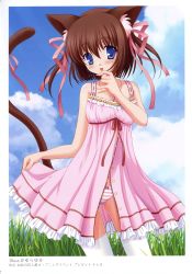 Rule 34 | 1girl, :p, absurdres, animal ears, bare shoulders, blue eyes, blush, brown hair, camisole, cat ears, cat tail, cloud, cloudy sky, collarbone, contrapposto, day, dress, grass, highres, kayura yuka, looking at viewer, open clothes, open dress, outdoors, panties, pink dress, pink panties, sky, sleeveless, sleeveless dress, solo, standing, striped clothes, striped panties, sundress, tail, tareme, thighhighs, tongue, tongue out, unbuttoned, underwear, white panties, white thighhighs