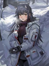 Rule 34 | 1girl, absurdres, animal ears, arknights, bare tree, black gloves, black hair, black pants, black shirt, black shorts, blush, breath, coat, cowboy shot, extra ears, gloves, hair between eyes, highres, looking at viewer, official alternate costume, outdoors, pants, red scarf, scarf, shirt, shorts, shuimo, snow, snowing, solo, texas (arknights), texas (winter messenger) (arknights), tree, white coat, winter, winter clothes, winter coat, wolf ears, yellow eyes