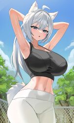 Rule 34 | 1girl, :o, absurdres, ahoge, animal ear fluff, animal ears, armpits, arms behind head, arms up, bare arms, bare shoulders, black shirt, black sports bra, blue eyes, breasts, commission, cowboy shot, crop top, day, fox ears, fox girl, fox tail, highres, huge breasts, long hair, looking at viewer, midriff, navel, open mouth, original, outdoors, pants, ponytail, shirt, sinkee, sleeveless, sleeveless shirt, solo, sports bra, standing, stomach, sweat, tail, track pants, white hair, white pants