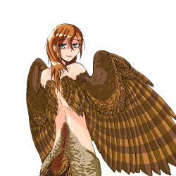 Rule 34 | 1girl, bird tail, brown feathers, brown hair, brown wings, commentary request, feathers, green eyes, hair between eyes, harpy, highres, konalemonusrex7, long hair, looking at viewer, looking back, monster girl, nude, open mouth, original, simple background, solo, tail, two-tone wings, white background, winged arms, wings