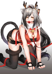 Rule 34 | 1girl, all fours, animal ear fluff, animal ears, antlers, arknights, bad id, bad pixiv id, ball gag, bandeau, bare arms, bare shoulders, black gloves, black shorts, bow, breasts, cat ears, cat tail, chinese commentary, commentary request, fake antlers, fingerless gloves, gag, gagged, gloves, gradient background, grey background, hair between eyes, hair bow, highres, horns, iceky, long hair, looking at viewer, medium breasts, midriff, no shoes, official alternate costume, ponytail, red ribbon, red shirt, ribbon, schwarz (arknights), schwarz (presents) (arknights), shadow, shirt, short shorts, shorts, silver hair, sleeveless, sleeveless shirt, solo, strapless, tail, thighhighs, thighs, tube top, turtleneck, very long hair, white background, wiffle gag, yellow eyes