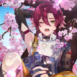 Rule 34 | 1boy, absurdres, arm behind head, armor, book, cherry blossoms, cover, cover page, fingernails, genshin impact, green eyes, hair between eyes, hakama, hakama shorts, highres, holding, holding book, japanese armor, japanese clothes, kote, kurokote, male focus, mole, mole under eye, multicolored hair, official art, one eye closed, open mouth, shikanoin heizou, shorts, solo, streaked hair, teeth, yawning