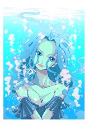 Rule 34 | 1girl, bare shoulders, blue eyes, blue hair, border, breasts, cleavage, frills, head tilt, highres, large breasts, lipstick, long hair, makeup, nefertari vivi, one piece, pink lips, pink lips, portrait, sherumaru (korcht06), signature, smile, solo, submerged, underwater, water, white border