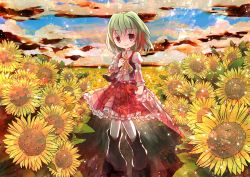 Rule 34 | 1girl, aged down, ascot, blood, blood on clothes, blood on face, bloody weapon, blue sky, blurry, boots, child, closed umbrella, cloud, depth of field, empty eyes, female focus, field, flower, flower field, green hair, horizon, juliet sleeves, kazami yuuka, long sleeves, looking at viewer, nature, outdoors, puffy sleeves, red eyes, risutaru, shirt, short hair, skirt, skirt set, sky, smile, solo, sparkle, standing, sunflower, sunflower field, touhou, umbrella, vest, weapon