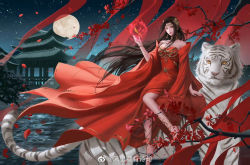 Rule 34 | 1girl, barefoot, black hair, building, cai lin (doupo cangqiong), closed mouth, doupo cangqiong, dress, falling petals, feng li cang you shiju, floating, floating object, full body, highres, jacket, long hair, moon, night, petals, pointy ears, red dress, red jacket, sitting, smile, solo, tiger, water, white tiger