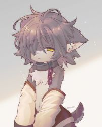 Rule 34 | 1girl, absurdres, animal ear fluff, brown eyes, chain, collar, detached sleeves, female focus, furry, furry female, grey fur, grey hair, hair over one eye, half-closed eyes, highres, messy hair, navel, racal ra, solo, tail, topless, twel (vrchat), twitter username, vrchat