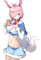 Rule 34 | 1girl, animal ears, blue bra, blue capelet, blue skirt, blush, bra, breasts, capelet, cleavage, cosplay, cowboy shot, detached sleeves, fate/grand order, fate (series), fou (fate), fou (fate) (cosplay), fur-trimmed bra, fur-trimmed capelet, fur-trimmed skirt, fur trim, hair over one eye, highres, light purple hair, long sleeves, looking at viewer, mash kyrielight, midriff, navel, official alternate costume, purple eyes, red neckwear, saint quartz (fate), saruchitan, short hair, skirt, smile, tail, thighhighs, underwear, white background, white thighhighs