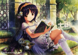 Rule 34 | 1girl, :o, bad id, bad pixiv id, bobby socks, book, bookmark, crossed legs, dog, dress, fence, flower, forest, gothic lolita, grass, hair ornament, holding, holding book, ironwork, kankurou, kneehighs, light particles, lolita fashion, long hair, nature, on ground, open book, original, outdoors, petticoat, puffy short sleeves, puffy sleeves, purple hair, reading, short sleeves, sitting, socks, solo, sunlight, tree, very long hair, white dress, white socks, wooden fence, yellow eyes