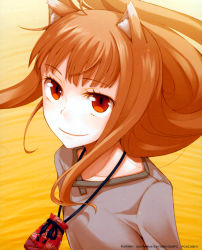 Rule 34 | 00s, 1girl, absurdres, animal ears, ayakura juu, highres, holo, long hair, red eyes, smile, solo, spice and wolf, tail, wolf ears, wolf tail