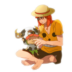 Rule 34 | hat, highres, horns, male focus, monkey d. luffy, one piece, one piece film: z, reindeer, shirt, shorts, sitting, smiley, spotted, straw hat, t-shirt, tony tony chopper