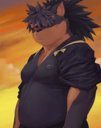 Rule 34 | 1boy, animal ears, animal nose, black fur, brown fur, colored sclera, commentary, dog boy, dog ears, furry, furry male, japanese clothes, male focus, muscular, muscular male, plump, red sclera, scar, scar on face, shino (housamo), snout, solo, sunset, tokyo houkago summoners, two-tone fur, upper body, xinchpo