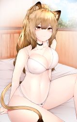 Rule 34 | 1girl, absurdres, animal ear fluff, animal ears, arknights, black choker, blush, bra, breasts, brown hair, choker, cleavage, collarbone, cowboy shot, highres, large breasts, lion ears, lion girl, lion tail, long hair, looking at viewer, navel, on bed, panties, ponytail, samip, siege (arknights), solo, studded choker, tail, thighs, underwear, white bra, white panties, yellow eyes