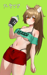 Rule 34 | 1girl, :&lt;, animal ears, artist request, bare shoulders, bikini, bikini under clothes, black bikini, breasts, brown hair, cleavage, collarbone, commission, cowboy shot, crop top, crop top overhang, cup, disposable cup, frown, green background, green shirt, halterneck, hand up, highleg, highleg bikini, highres, holding, korean text, long hair, looking at viewer, medium breasts, midriff, navel, off-shoulder shirt, off shoulder, orange eyes, original, park bokja, ponytail, red shorts, revealing clothes, second-party source, shirt, short shorts, shorts, simple background, solo, squirrel ears, standing, stomach, string bikini, swimsuit, thighs, underboob, very long hair
