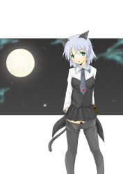 Rule 34 | 00s, 1girl, animal ears, aona (anagasaki), bad id, bad pixiv id, black pantyhose, cat ears, cat tail, crotch seam, green eyes, moon, necktie, night, night sky, panties, pantyhose, sanya v. litvyak, silver hair, sky, solo, strike witches, tail, underwear, world witches series