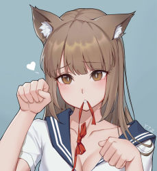 Rule 34 | 1girl, animal ear fluff, animal ears, blue background, blue sailor collar, blush, bow, breasts, brown eyes, brown hair, cat ears, cat girl, chun zhuan, cleavage, fang, heart, highres, long hair, medium breasts, mouth hold, off shoulder, original, parted lips, paw pose, red bow, sailor collar, school uniform, serafuku, shirt, short sleeves, slit pupils, solo, upper body, white shirt