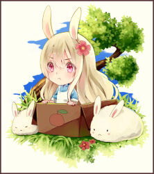 Rule 34 | 1girl, :&lt;, :t, animal ears, apron, blonde hair, blue dress, blue sky, blush stickers, border, box, brown border, cardboard box, chibi, closed eyes, closed mouth, clover, commentary, day, double-parted bangs, dress, flower, foliage, frown, grass, hair between eyes, in box, in container, jiman, kagerou project, kozakura marry, light blush, looking ahead, mekakucity actors, nature, outdoors, pink eyes, pink flower, rabbit, rabbit ears, simple background, sky, sleeve cuffs, sleeves past elbows, solo, tree, upper body, white apron, white background, white hair, white rabbit (animal)