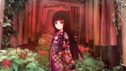 Rule 34 | 1girl, black hair, blunt bangs, closed mouth, commentary request, copyright name, cowboy shot, enma ai, floral print, floral print kimono, flower, highres, hime cut, japanese clothes, jigoku shoujo, kimono, logo, long hair, long sleeves, looking at viewer, multiple torii, obi, outdoors, print kimono, red eyes, red flower, sash, sayashi (type5 labyrith), solo, spider lily, torii, very long hair, wide sleeves