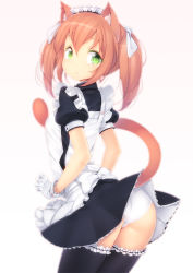 Rule 34 | 1girl, animal ears, apron, ass, black thighhighs, blue eyes, cat ears, cat tail, clothes lift, cowboy shot, frilled thighhighs, frills, from behind, gloves, green eyes, hair ribbon, lifted by tail, long hair, looking at viewer, maid, maid apron, maid headdress, orange hair, original, panties, puffy short sleeves, puffy sleeves, ribbon, short sleeves, simple background, skirt, skirt lift, solo, tail, thighhighs, twintails, underwear, upskirt, white gloves, white panties, zizi (zz22)