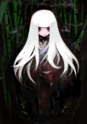 Rule 34 | 1girl, albino, bamboo, bamboo forest, forest, long hair, nature, original, red eyes, solo, ume (datsuryokugen), white hair