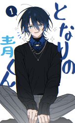 Rule 34 | 1girl, black sweater, blue eyes, blue hair, blue shirt, bright pupils, collared shirt, full body, grey pants, hair between eyes, highres, hiodoshi ao, hololive, hololive dev is, jewelry, long sleeves, looking at viewer, mole, mole under mouth, necklace, pants, parted lips, planetzer 0, ring, shirt, short hair, simple background, sitting, smile, solo, sweater, virtual youtuber, white background, white pupils
