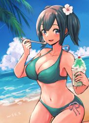 Rule 34 | 1girl, alternate costume, artist name, beach, bikini, blue sky, blush, breasts, cup, day, disposable cup, eating, food, green bikini, hair between eyes, holding, holding cup, holding food, holding spoon, kantai collection, kneeling, large breasts, looking at viewer, medium hair, ocean, open mouth, outdoors, palm tree, sand, shaved ice, sky, solo, souryuu (kancolle), spoon, spoon straw, swimsuit, tree, water, wss (nicoseiga19993411)