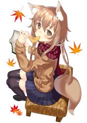 Rule 34 | 1girl, aburaage, animal ears, black footwear, black thighhighs, blue skirt, blush, book, closed mouth, coat, duffel coat, eating, food, fox ears, fox girl, fox tail, fringe trim, from above, from side, hair between eyes, hand up, highres, holding, holding book, holding food, leaf, legs together, loafers, long hair, looking at viewer, maple leaf, open book, original, plaid, plaid scarf, pleated skirt, purple scarf, scarf, shoes, sidelocks, simple background, sitting, skirt, solo, tail, thighhighs, tofu, toujou mina, white background