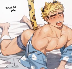 Rule 34 | 1boy, animal ears, ass, bara, bare pectorals, blonde hair, blue shirt, boxer briefs, dated, earrings, eyebrow cut, fangs, highres, jewelry, male focus, male underwear, muscular, muscular male, on bed, original, pectorals, rio mukiniki, shirt, single earring, solo, sweat, tail, thick eyebrows, tongue, tongue out, underwear, yellow eyes
