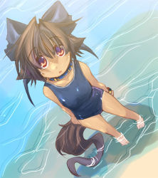 Rule 34 | 1girl, animal ears, beach, borrowed character, bow, brown hair, cat ears, cat tail, collar, day, kannagi cocoa, one-piece swimsuit, original, outdoors, red eyes, sand, school swimsuit, solo, swimsuit, tail, tan, water