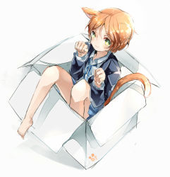 Rule 34 | 10s, 1girl, :3, animal ears, bad id, bad pixiv id, barefoot, box, captain yue, cat ears, cat tail, duizhang, green eyes, hoshizora rin, looking at viewer, love live!, love live! school idol project, orange hair, paw pose, school uniform, short hair, simple background, sketch, solo, tail, white background