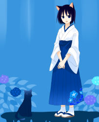Rule 34 | 1girl, animal ears, blue hakama, blue theme, cat, cat ears, ghost0, hakama, hakama skirt, japanese clothes, miko, original, skirt, solo, tabi