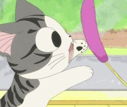 Rule 34 | animated, animated gif, anime screenshot, cat, chi&#039;s sweet home, chi (character), lowres, screencap, solo