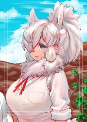 Rule 34 | 1girl, alpaca ears, alpaca suri (kemono friends), alternate hairstyle, animal ear fluff, animal ears, big hair, blue eyes, breast pocket, day, extra ears, fur collar, hair over one eye, high ponytail, highres, horizontal pupils, kemono friends, light smile, long hair, looking at viewer, neck ribbon, notora, outdoors, parted bangs, parted lips, pocket, ribbon, shirt, short sleeves, sidelocks, solo, sweater vest, upper body, white hair