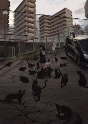 Rule 34 | 2girls, animal ears, ankle socks, black cat, black eyes, black jacket, black pants, black skirt, black sleeves, black socks, black vest, blonde hair, brown hair, car, cat, cat ears, cat girl, chain-link fence, city, cloud, cloudy sky, crack, dark-skinned female, dark skin, day, fence, full body, grey footwear, hand on own chest, highres, jacket, long hair, long sleeves, manhole cover, medium hair, miniskirt, motor vehicle, multiple girls, original, outdoors, pants, parted lips, plant, pleated skirt, road, sandals, shirt, sign, skirt, sky, socks, sportswear, squatting, tomatomato 0413, too many, too many cats, twintails, vest, white shirt, white sleeves