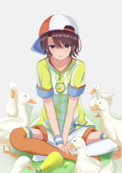 Rule 34 | 1girl, animal, asymmetrical legwear, backwards hat, baseball cap, between legs, bird, brown hair, collarbone, commentary request, duck, green eyes, grey background, hair between eyes, hand between legs, hat, highres, hololive, megaphone, mismatched legwear, natsuki (natukituki), no shoes, on grass, oozora subaru, oozora subaru (1st costume), orange thighhighs, parted lips, shaded face, shirt, short shorts, short sleeves, shorts, solo, stopwatch, striped clothes, striped shirt, sweatband, thighhighs, vertical-striped clothes, vertical-striped shirt, virtual youtuber, watch, whistle, whistle around neck, white hat, white shorts, white thighhighs, wristband